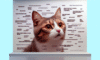 Cat Meme Guide for Achieving Feline Fame Online