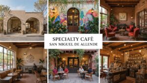 Hortus Café with Cathedral Views
