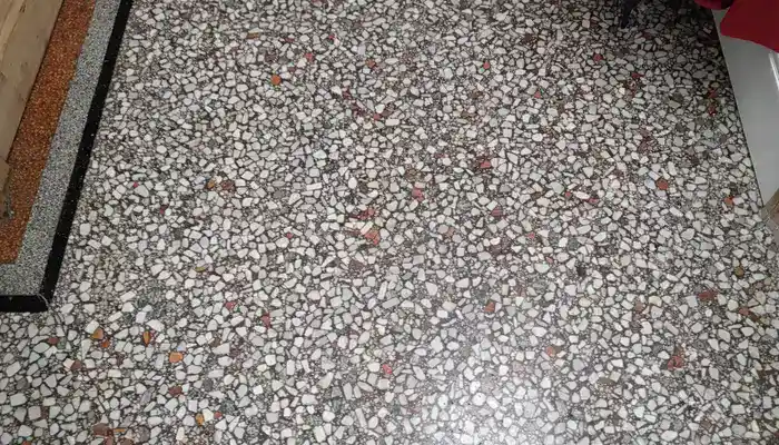 Terrazzo Floors: Care and Restoration Tips for UK Homes