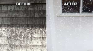 Discover the benefits of eco-friendly home washing by Housewash PA