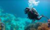 Diving Guide: Tips for Exploring Belize’s Big Blue Hole