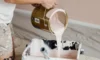 Budget Tips for Succeeding in Exterior Paint Jobs in Sydney