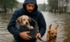 Pet Safety Measures for Flood Evacuations: Essential Tips