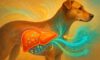 Liver Health Monitoring: Key Tips for Dog Care