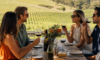 Yarra Valley Wine Tasting Day Trip with Scenic Picnic