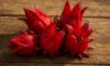 Hibiscus Flowers: Creative Culinary Techniques to Explore