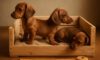Puppy Comfort Tips: Create a Snug Crate Setup
