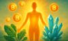 Clean Energy Supplements: Energise Your Day Naturally