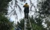 Electrical Defect Notice Response in the Mid North Coast Area