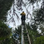 Electrical Defect Notice Response in the Mid North Coast Area