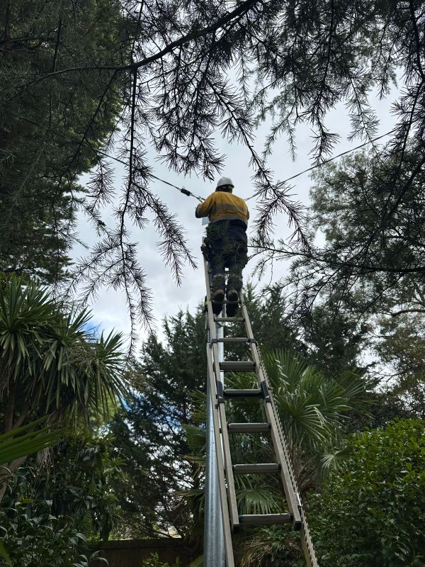 Electrical Defect Notice Response in the Mid North Coast Area